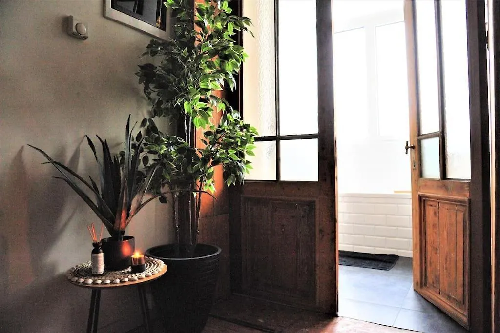 Tropical Dive, 2Bdr Apartment Antwerpen