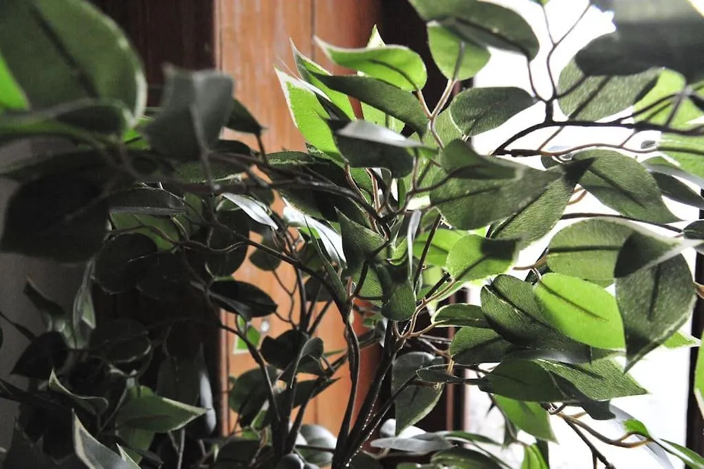 Tropical Dive, 2Bdr Apartment Antwerpen